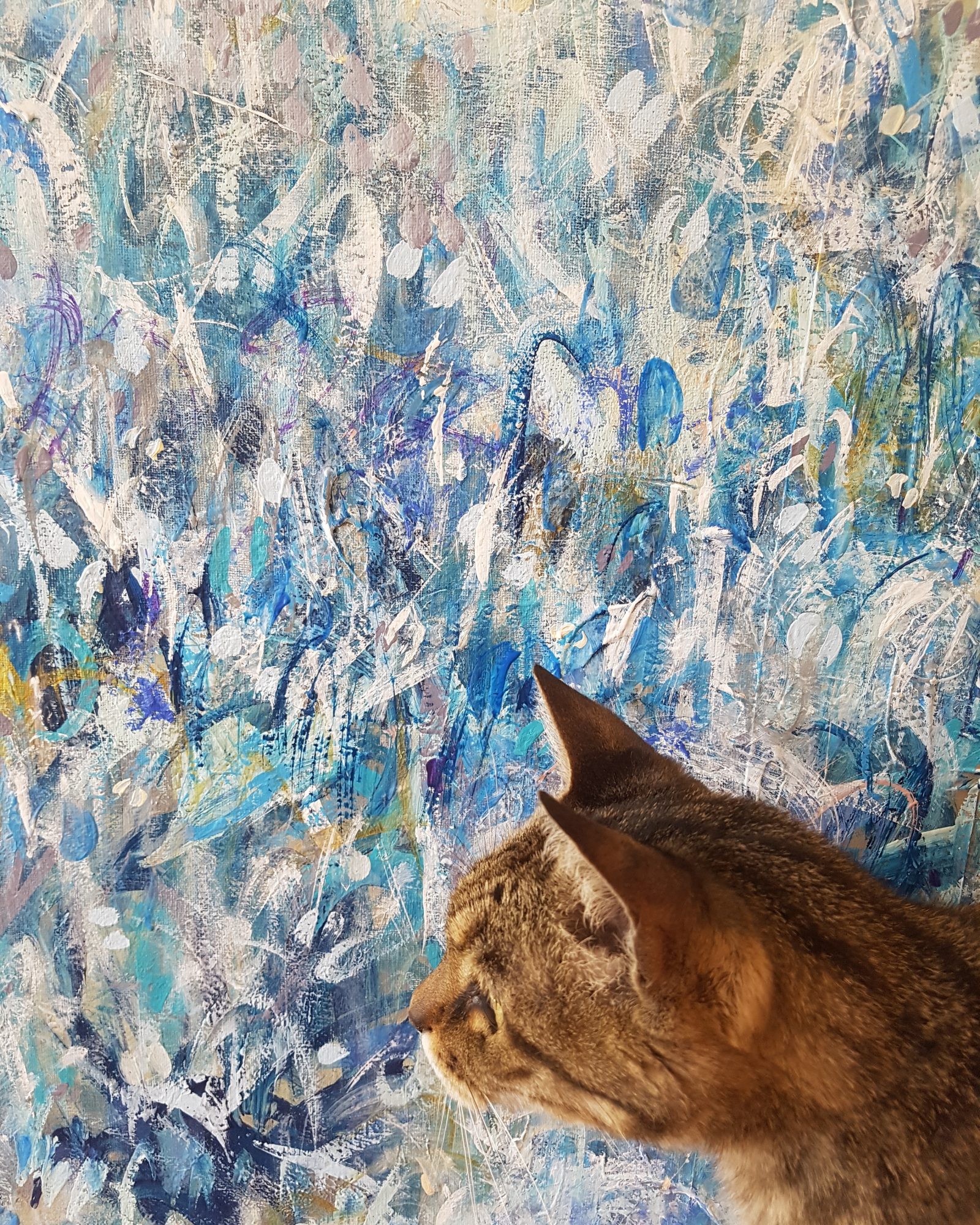 wildflower-blues-catogram