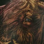 fb_img_1499230014249