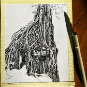 img_20170812_072015cc