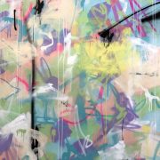 slow-evolution-sioux-tempestt