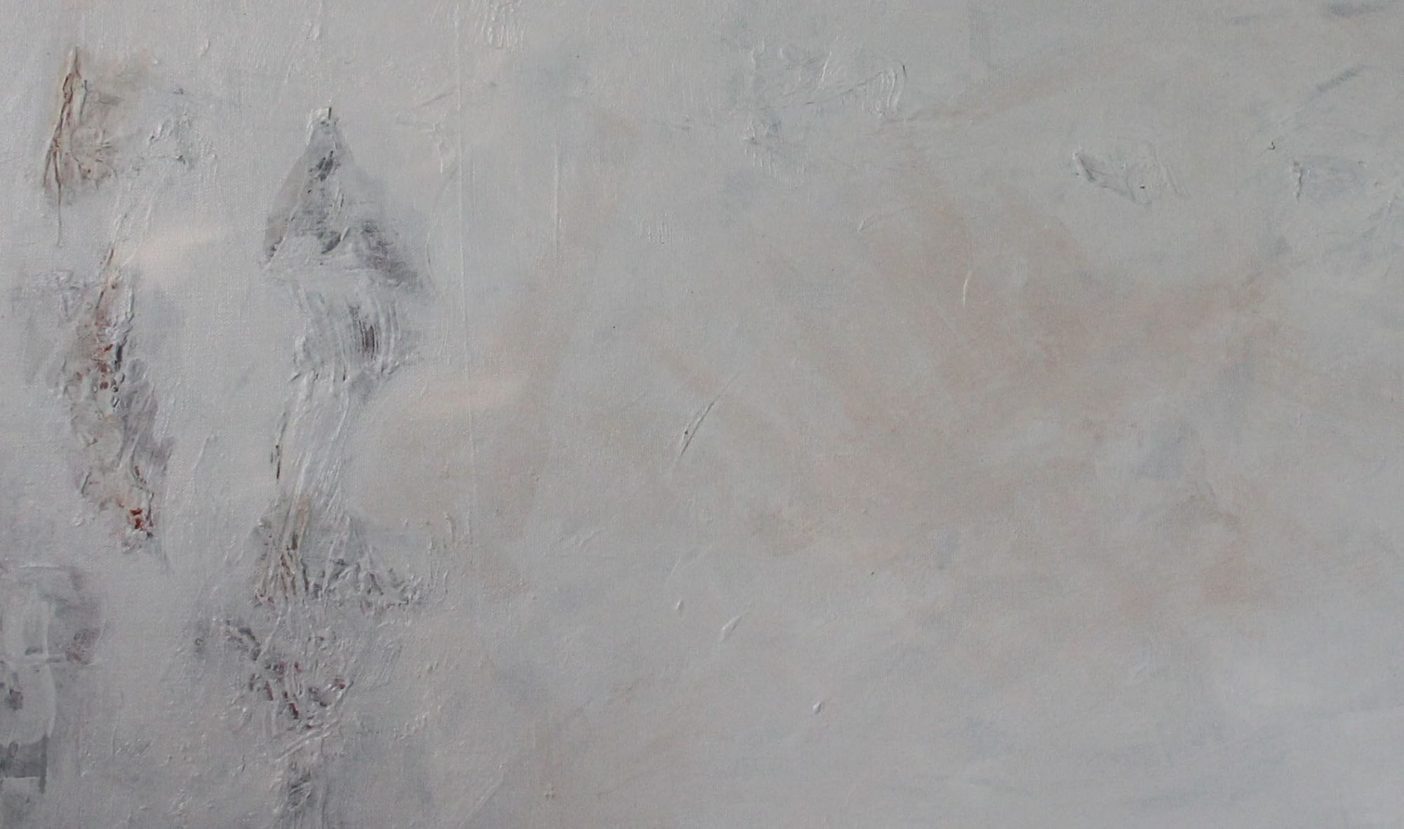 bird-on-white-clodeup-2