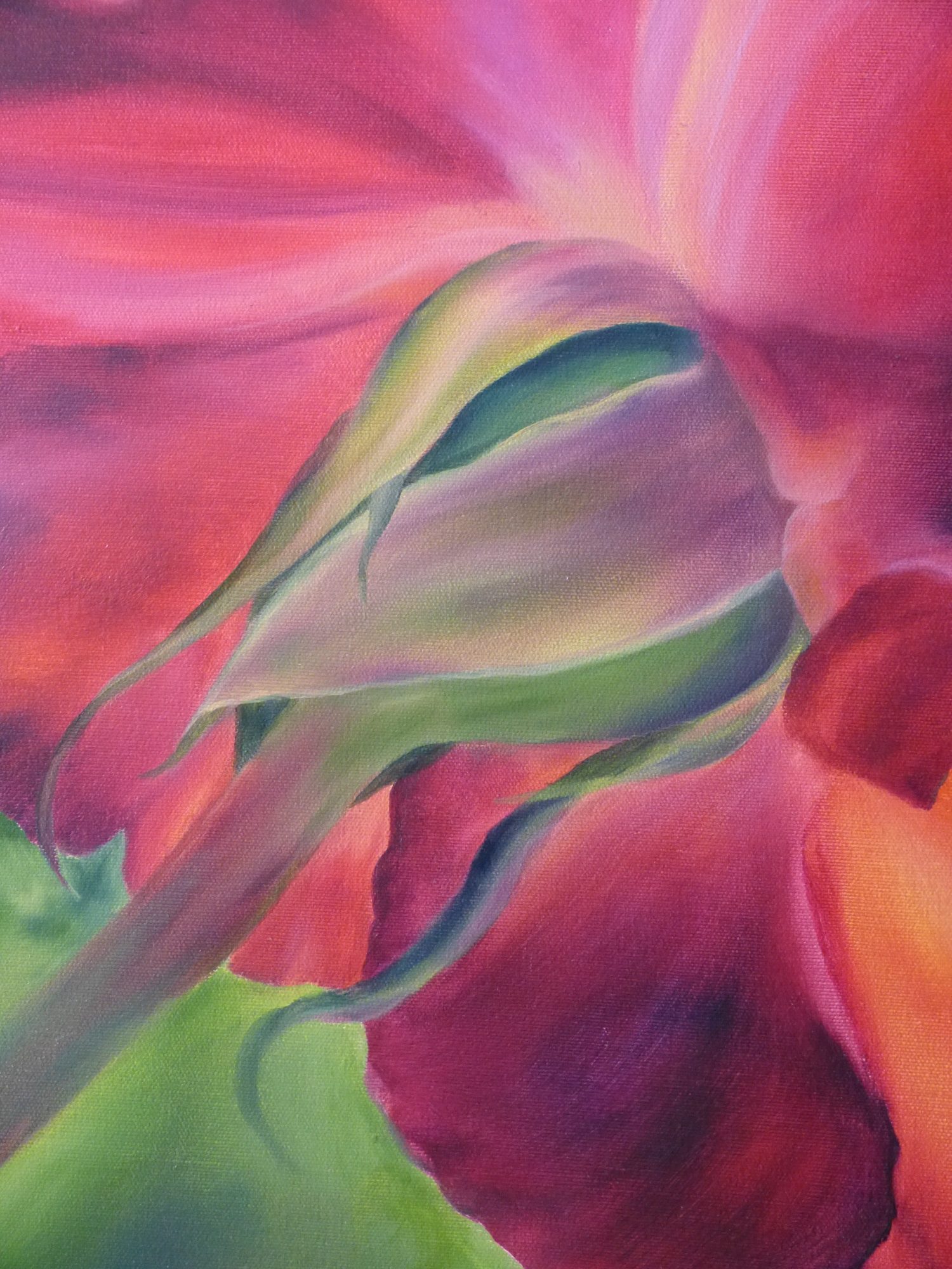 a-fiery-beauty-close-up