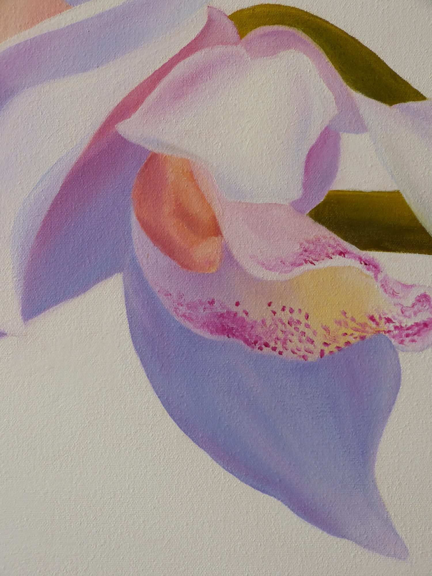 a-spray-of-orchids-close-up