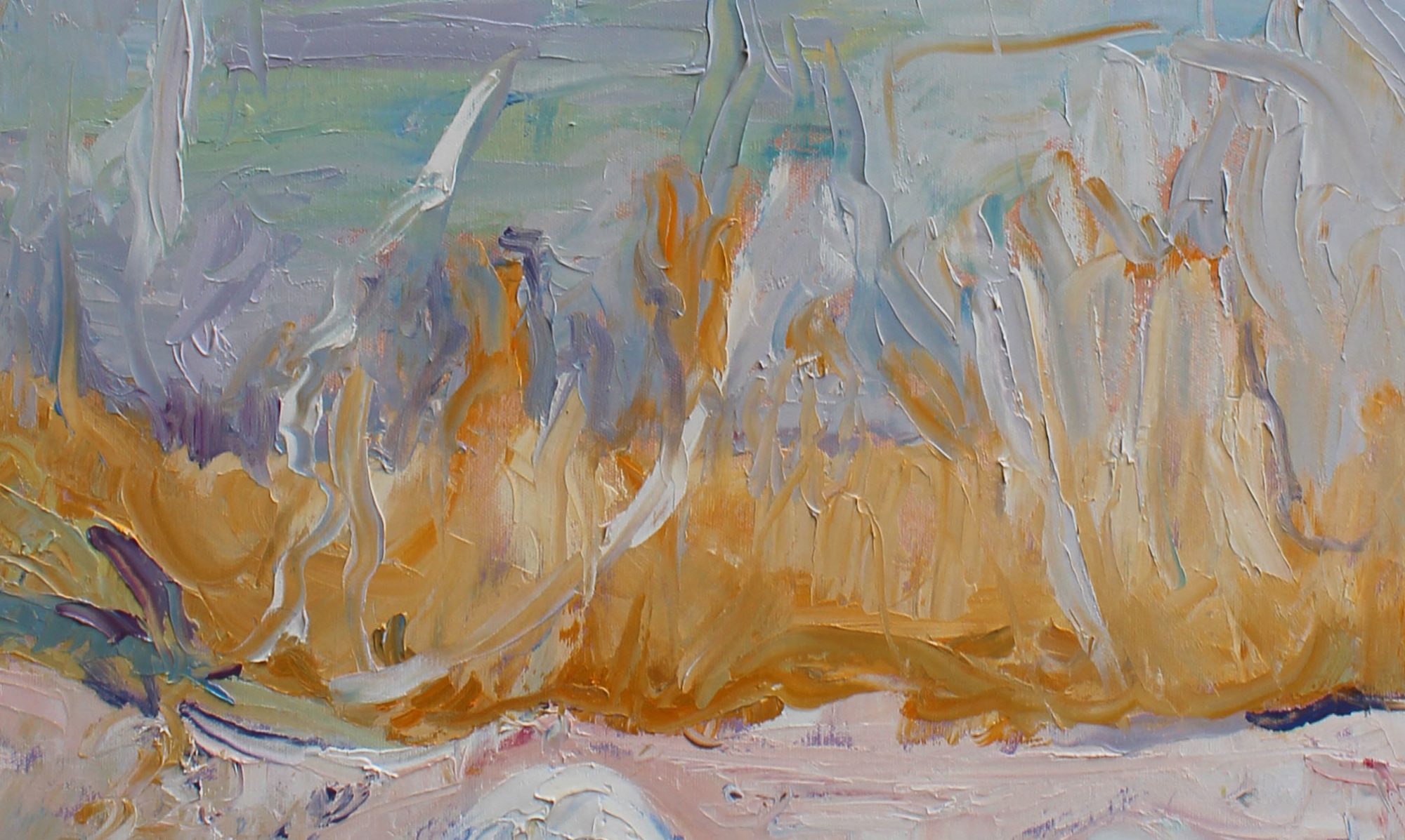 port-eliot-south-australia-closeup-1