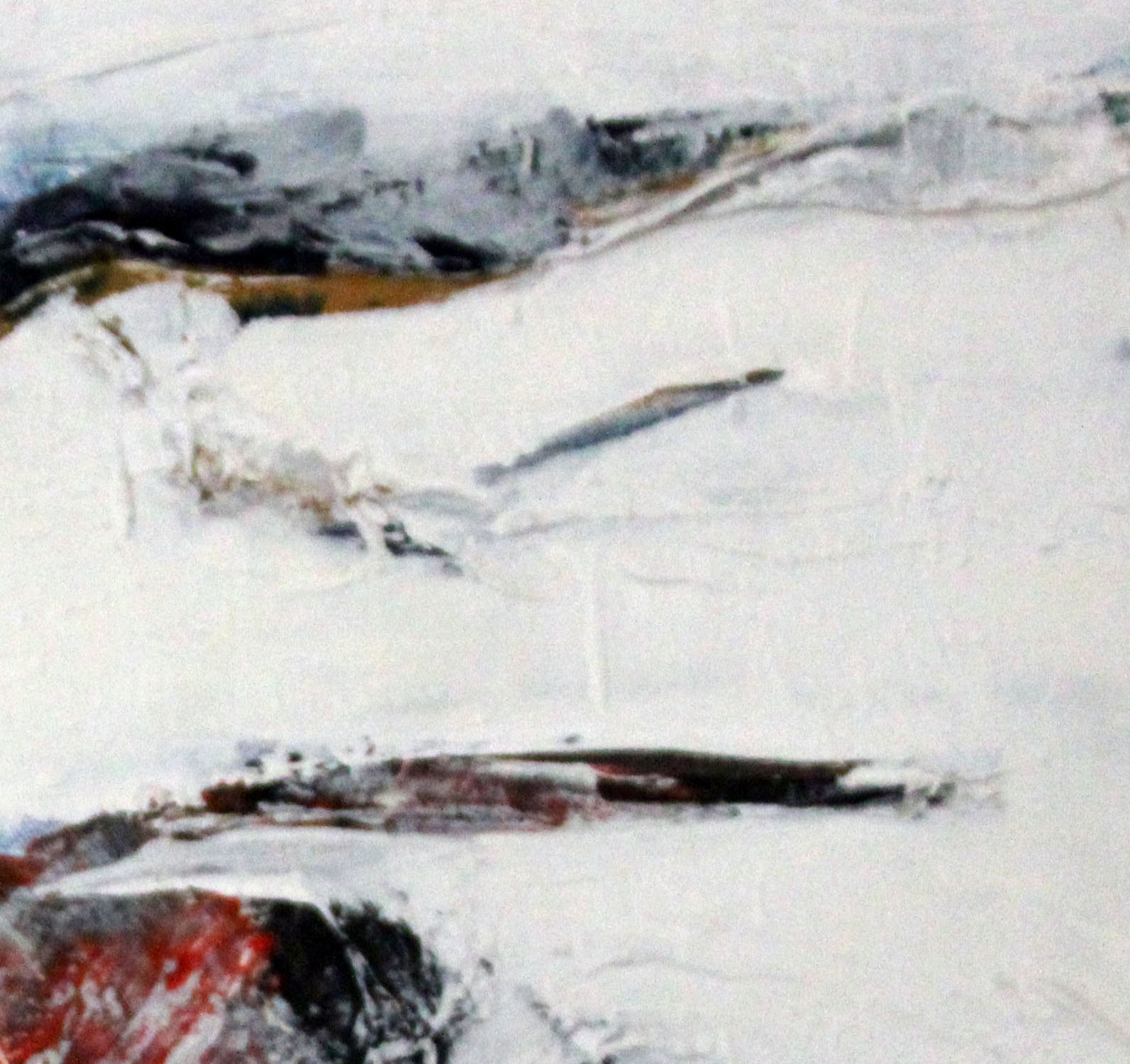 south-coast-reef-closeup-3