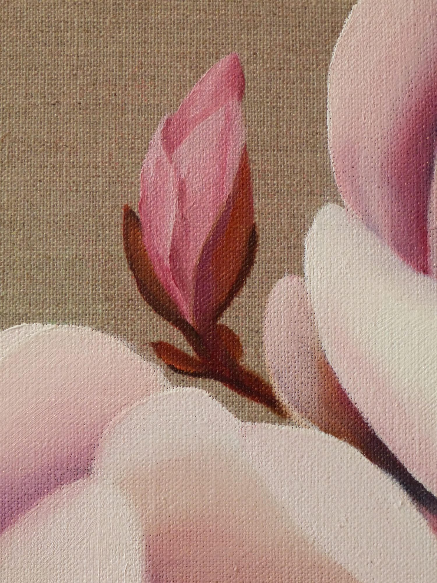 ancient-species-magnolia-detail