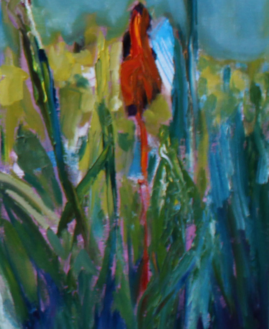 the-really-love-their-gardens-in-peterborougclose-up-5h