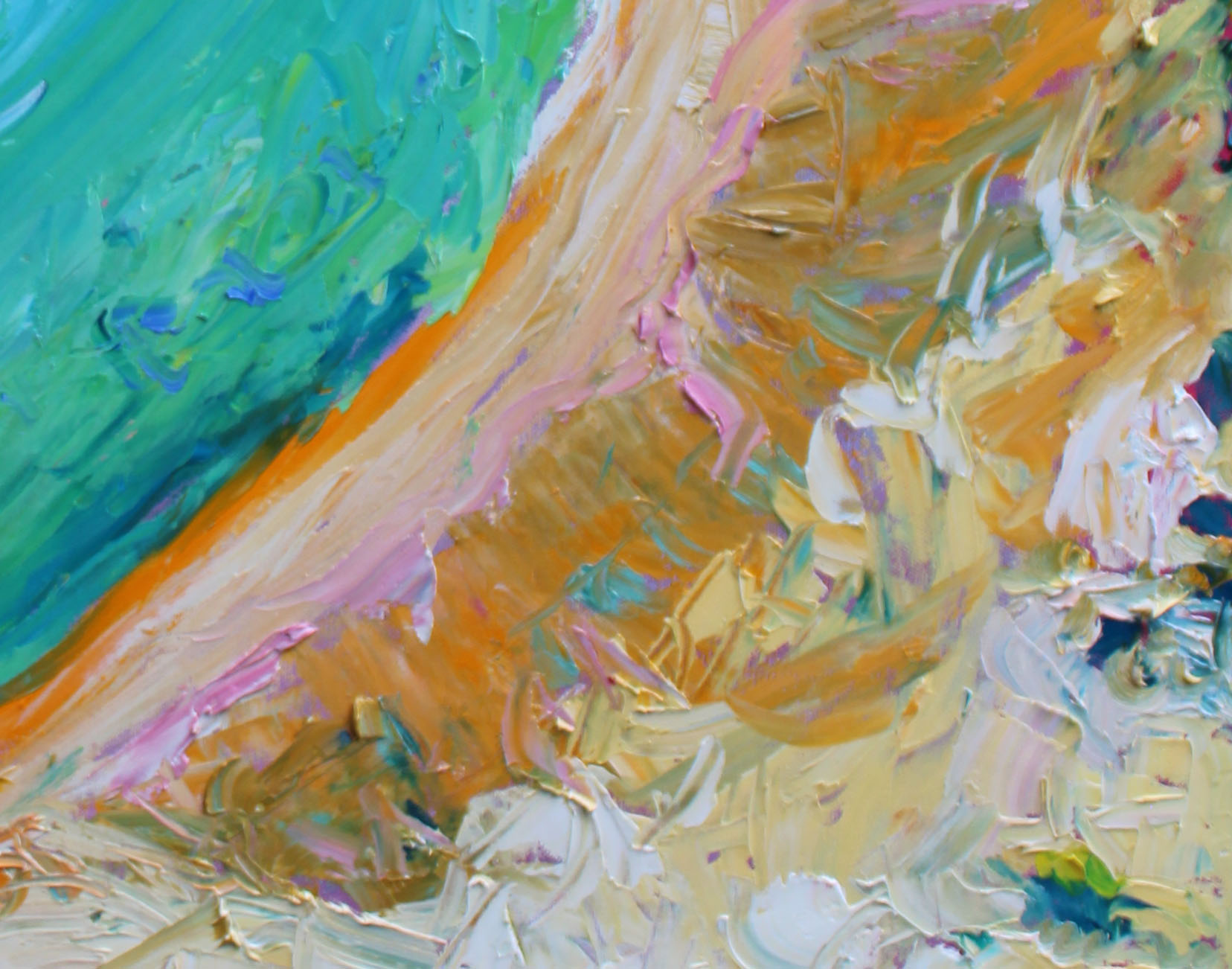 beachport-conservation-park-south-australia-closeup-1