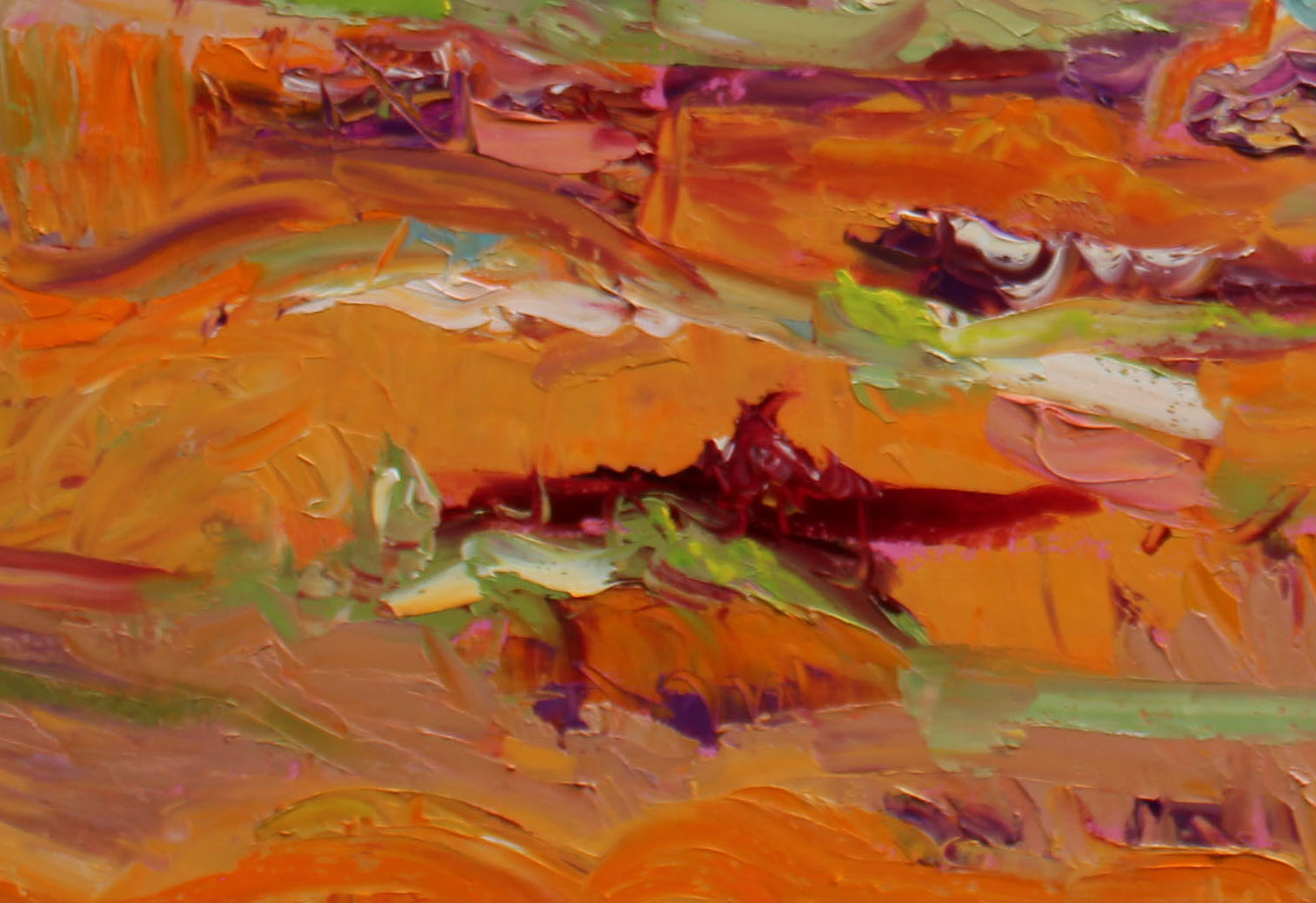 mid-north-landscape-close-up-2