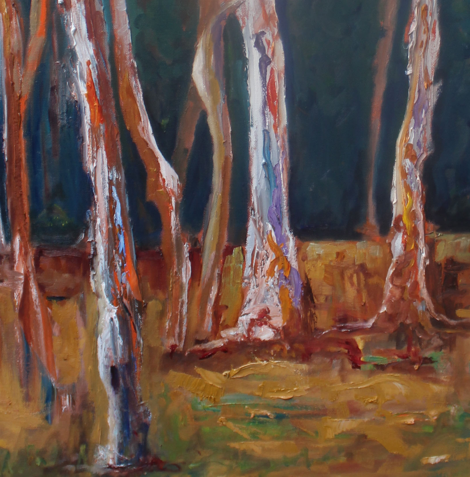 where-gum-trees-meet-the-pine-forest-76x103cm-oil-and-acrylic-on-canvas-section-600-00