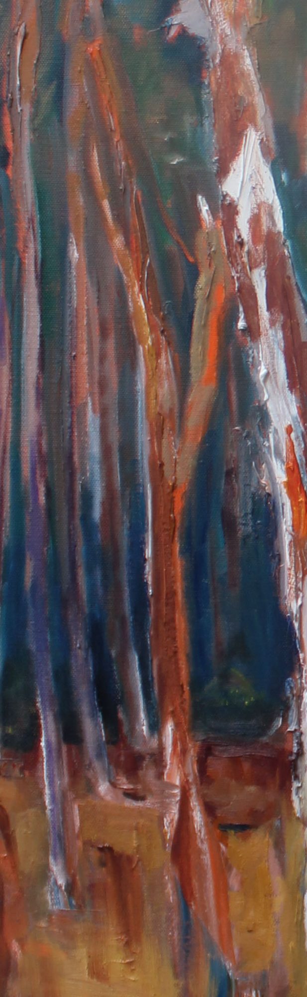 where-gum-trees-meet-the-pine-forest-76x103cm-oil-and-acrylic-on-canvas-secktion-2-600-00