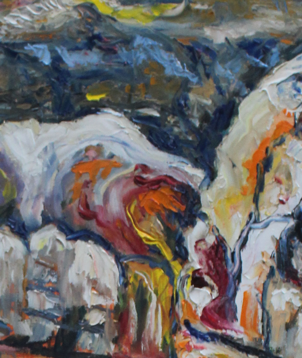 cliff-face-on-the-bech-kangaroo-island-3jpg_close-up-1edited-1