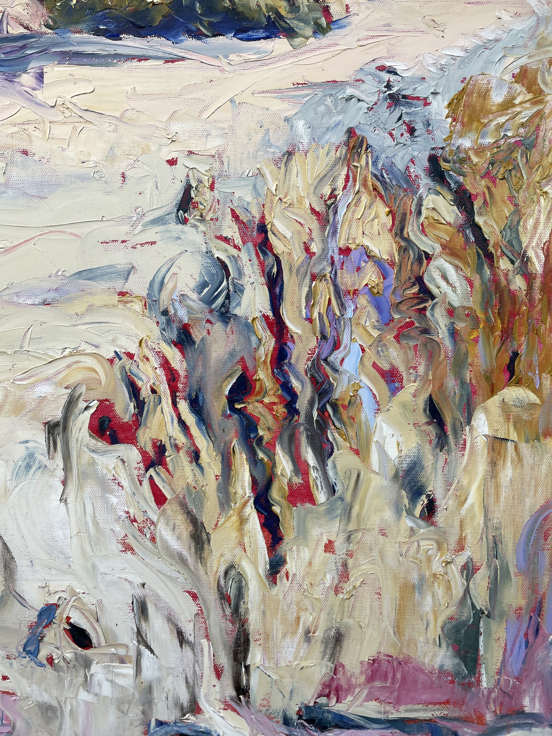 Sandboarding On Kangaroo Island Closeup 1