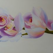 a-spray-of-orchids-clare-riddington-jones-oil-1-4m-x-70cm