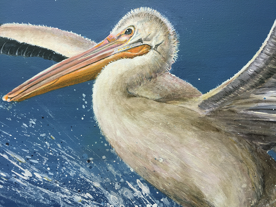 smooth-landing-close-up-b