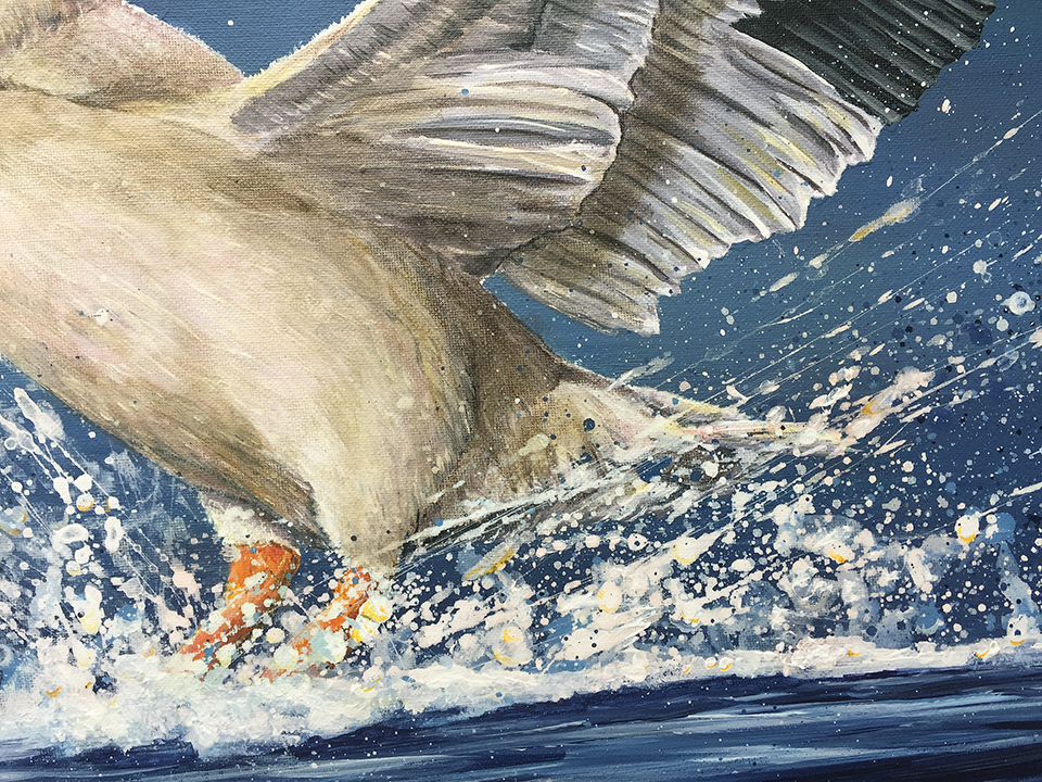 smooth-landing-close-up-a