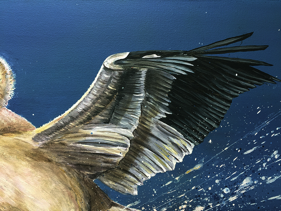 smooth-landing-close-p-d