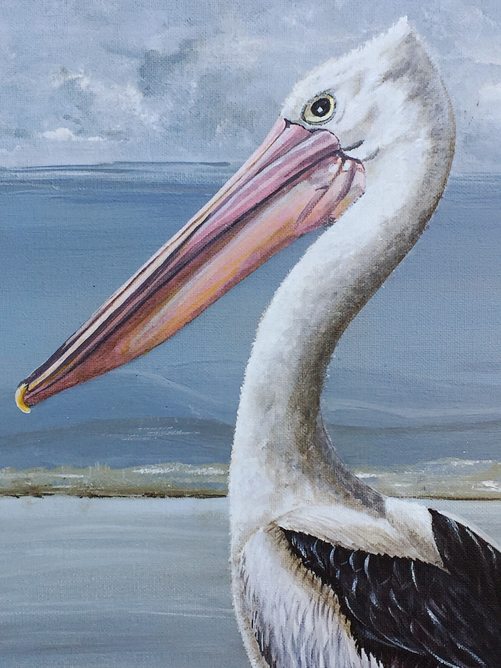 pier-watch-close-up-b