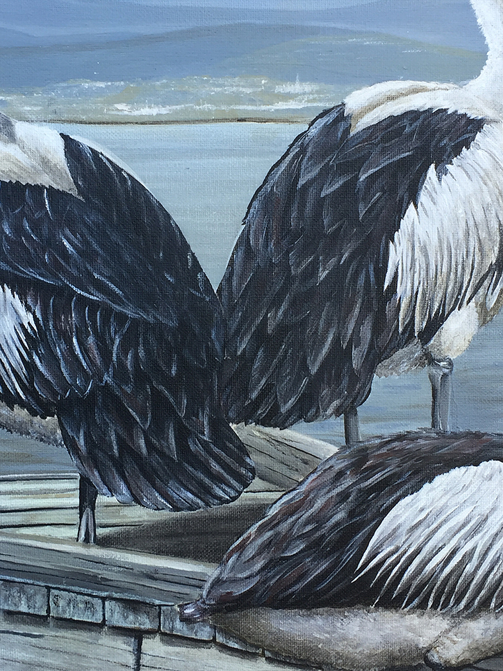 pier-watch-closeu-p-d