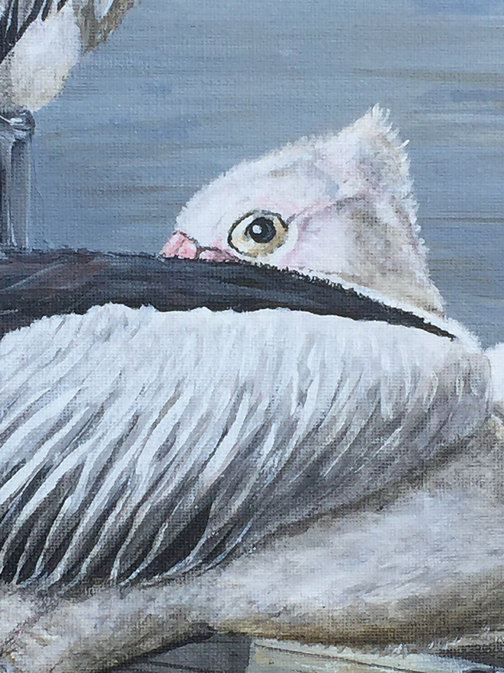 pier-wtch-close-up-a