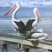 pier-watch-full-image