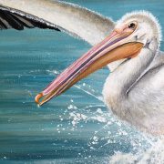 splahdown-close-up-3