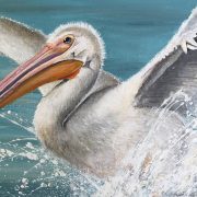 splashdown-close-up-a