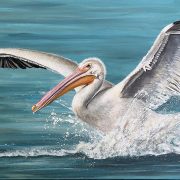 splashdown-full-image