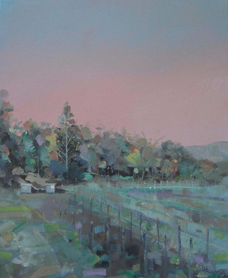 Vineyards Looking West. Tamborine Mountain