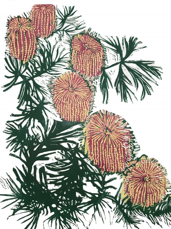 Birthday Candlestick Banksia resized