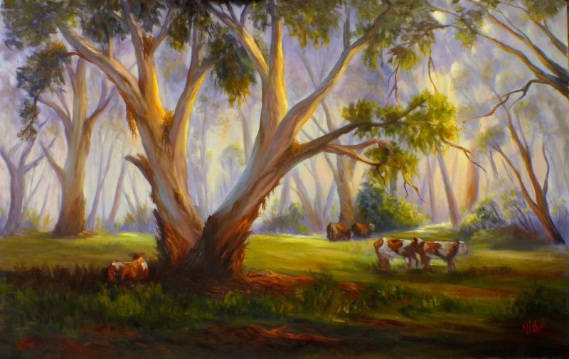 Grazing in the Australian bush