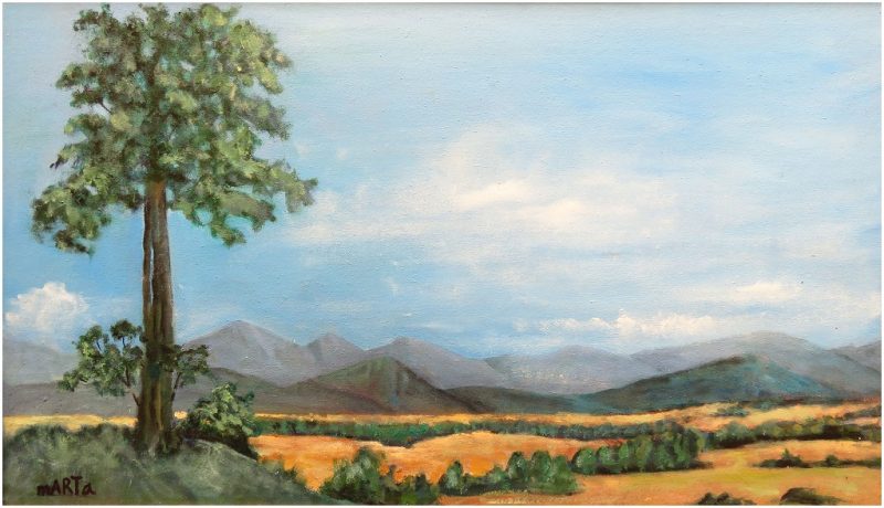 David’s Tree – On the Way to Boonah