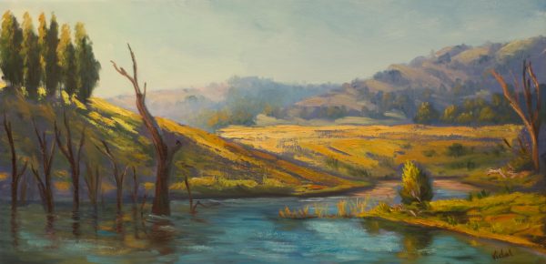 Lake st Claire Hunter Valley Vidal