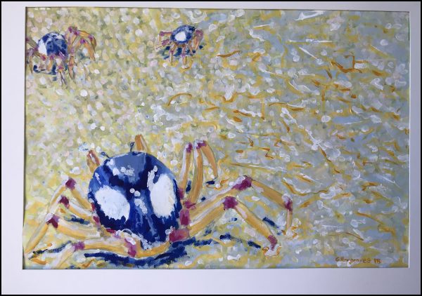 Soldier Crabs crop frame small