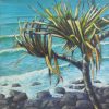 pandanus study 14mar
