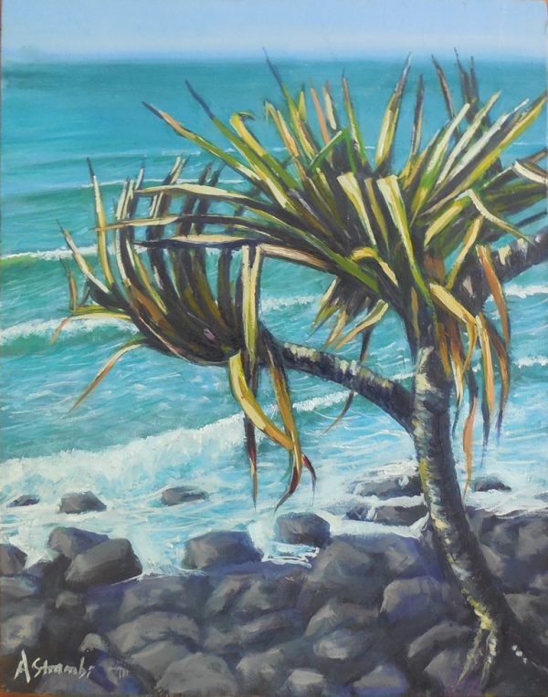 pandanus study 14mar