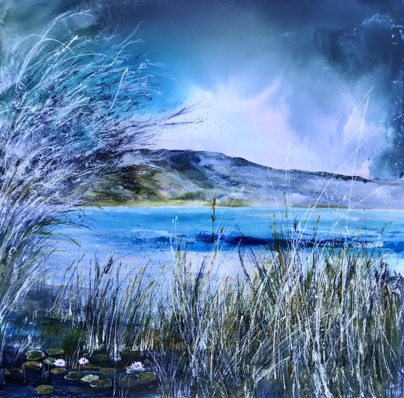 Dreams of a Waterlily