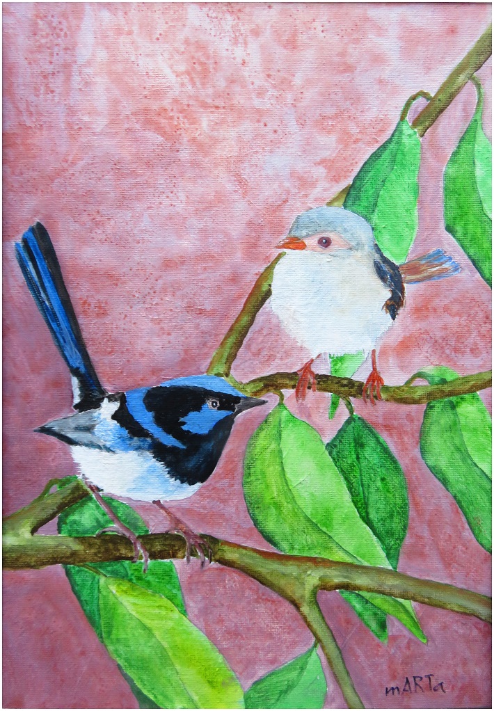 Blue Fairy Wren Couple