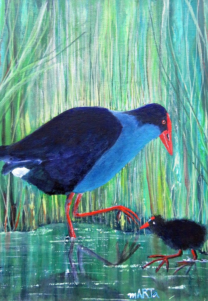 Pukeko – SOLD