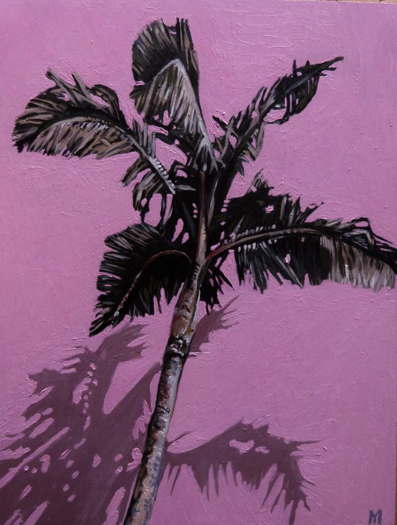 Palm on Pink