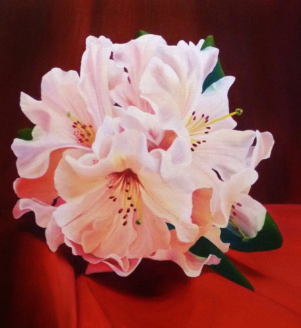 Rhododendron, Oil, 90cm x 60cm   $1200