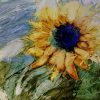 Come follow the sun