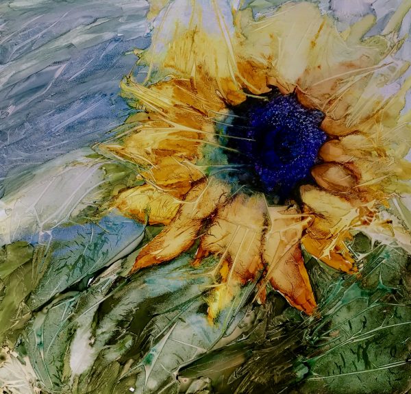 Come follow the sun
