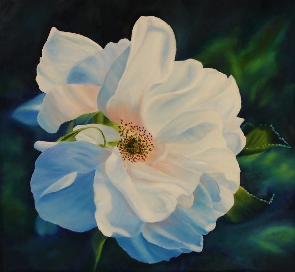 French Beauty, Oil, 750 x 750   SOLD