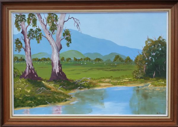 GUM TREES BY THE WATER HOLE