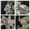 Lilies Series 4-pieces each 30cmx30cm