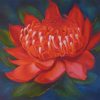 Fine Art Print of Waratah