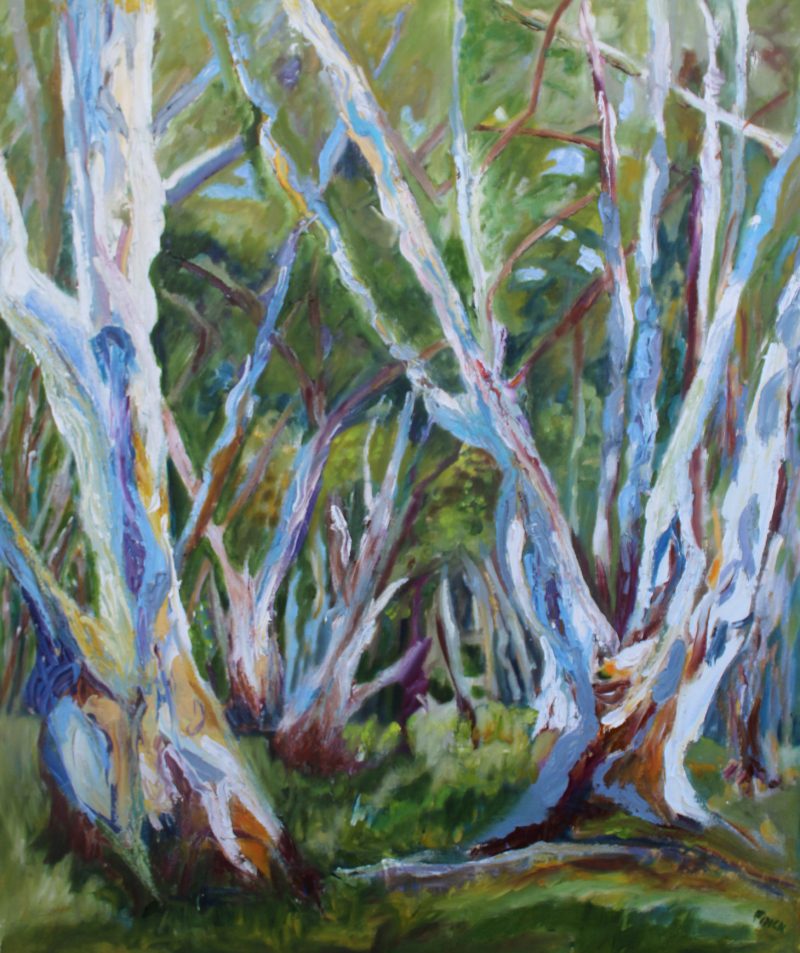 RED RIVER GUMS