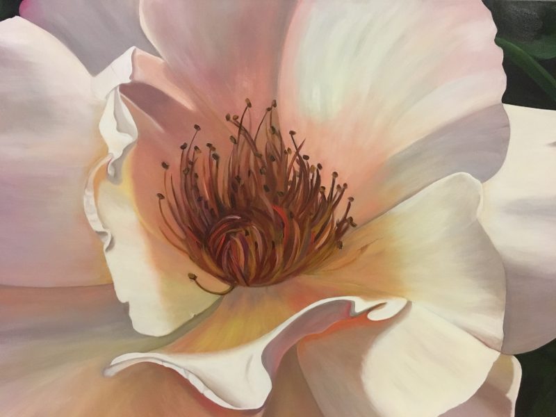 Summer Glow- Bushfire Charity Fundraiser