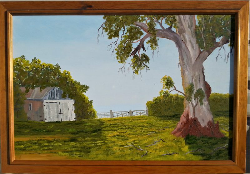 Morning Winter Light